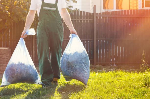 Best Basement Cleanout  in Homestead, FL